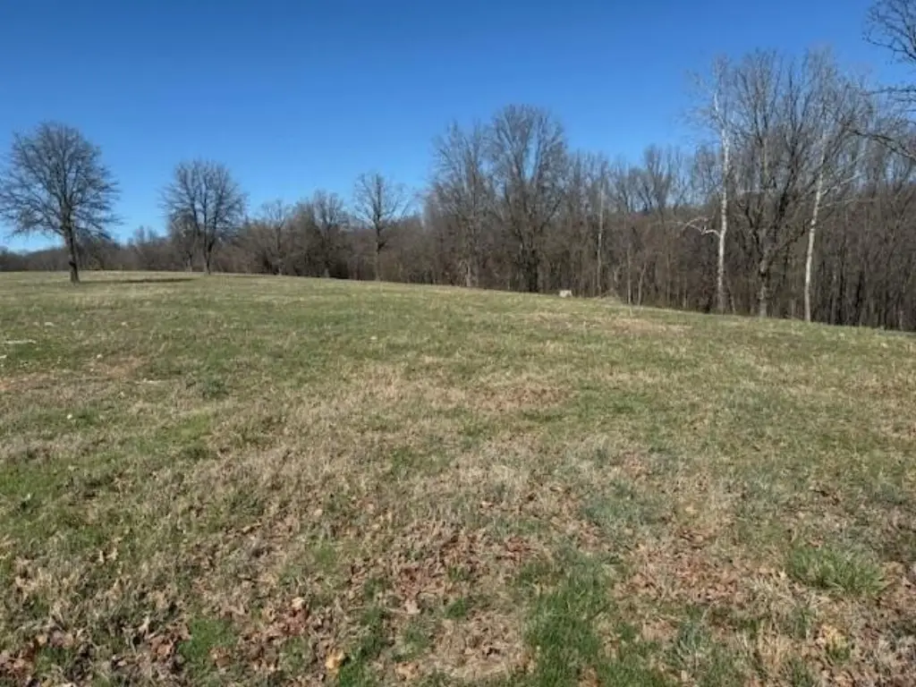 Picture 5