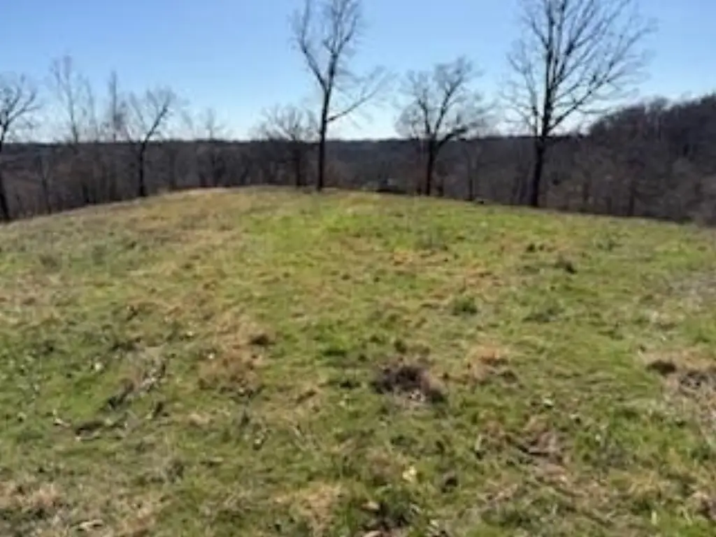 Picture 12