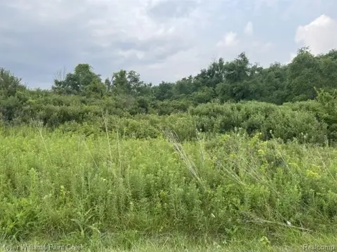 Wooded Residential Homesite Land