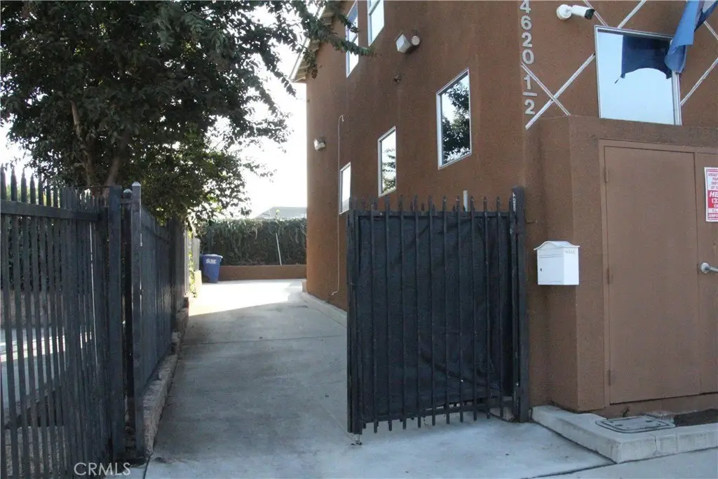 Picture 4