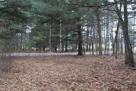 Scenic Vacant Land Near Raystown