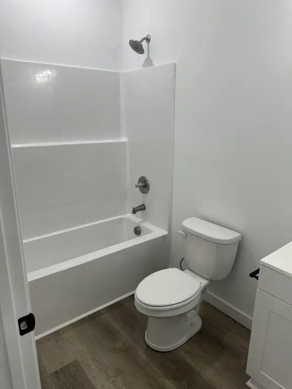 Picture 14