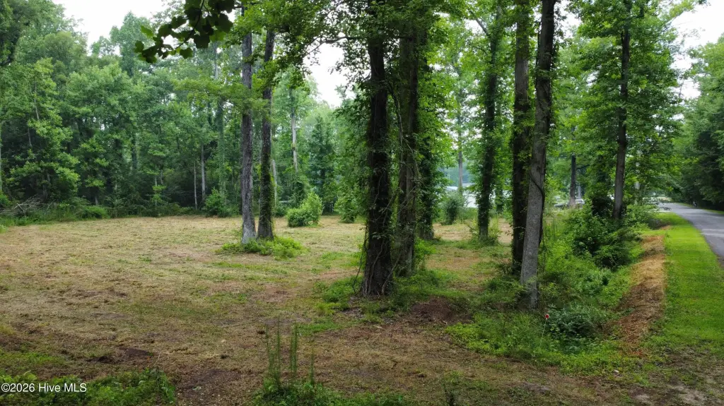 Picture 3