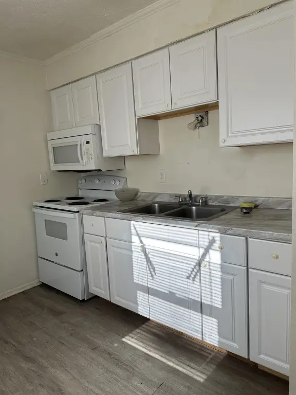 Picture 25