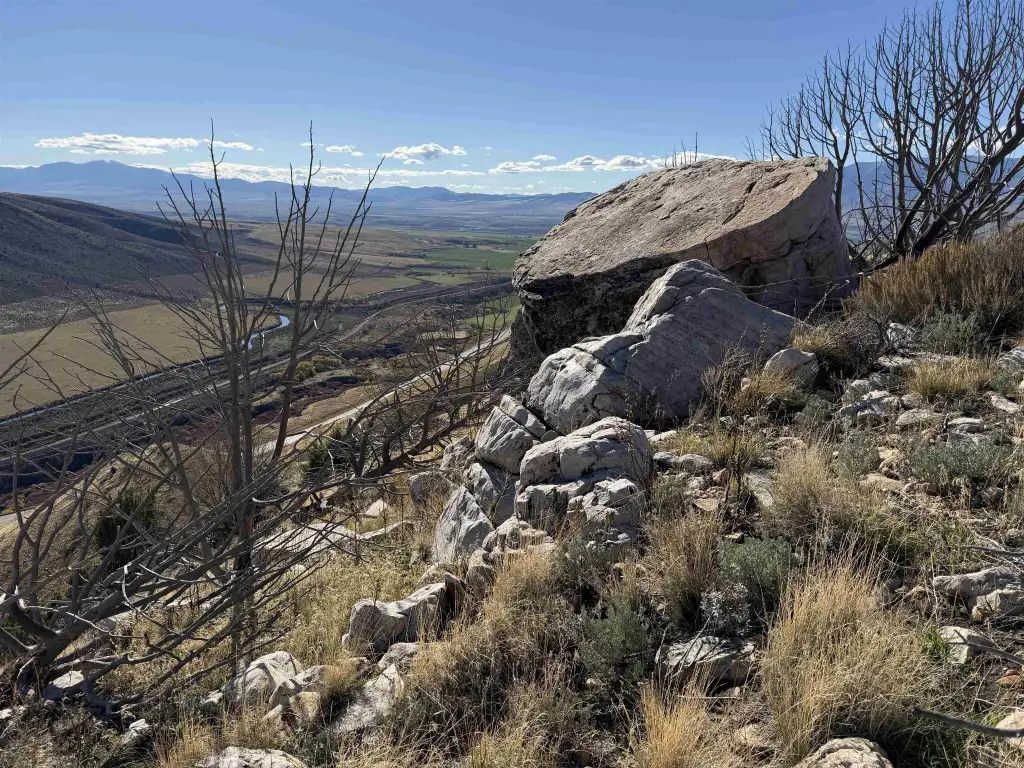 Picture 21