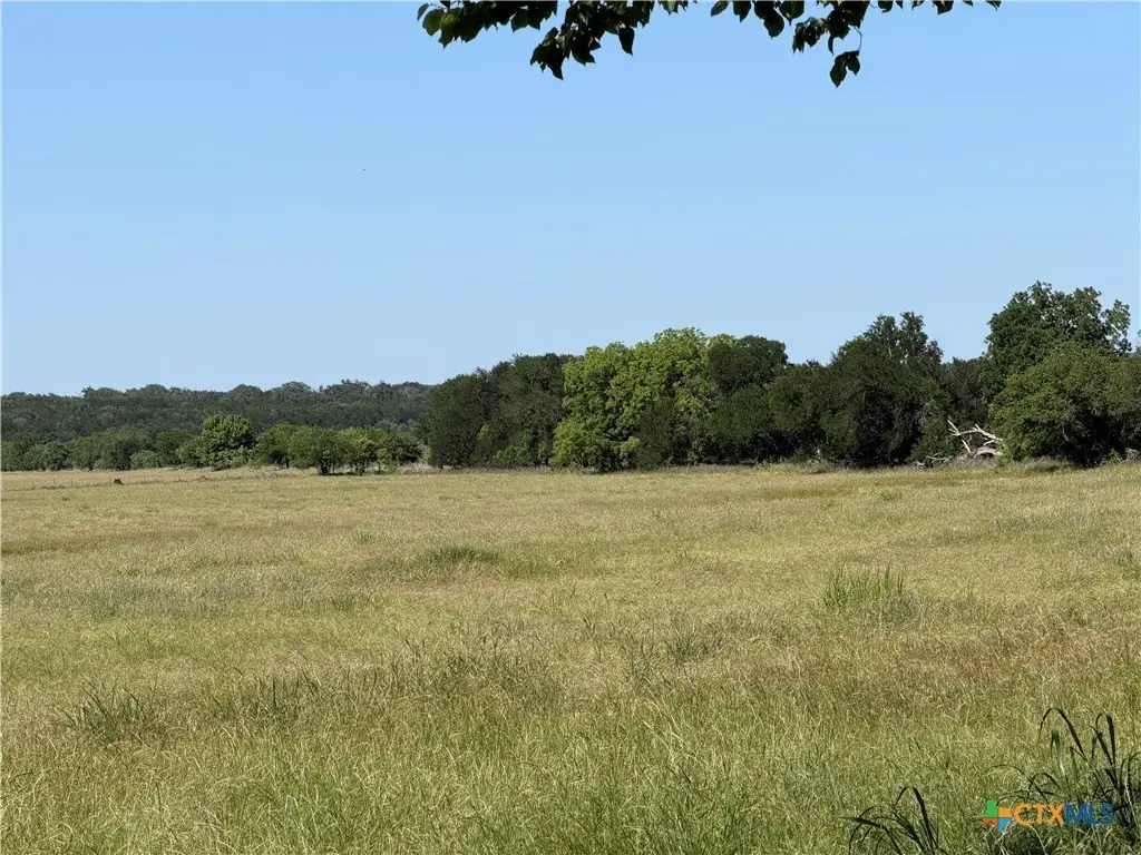 Picture 29
