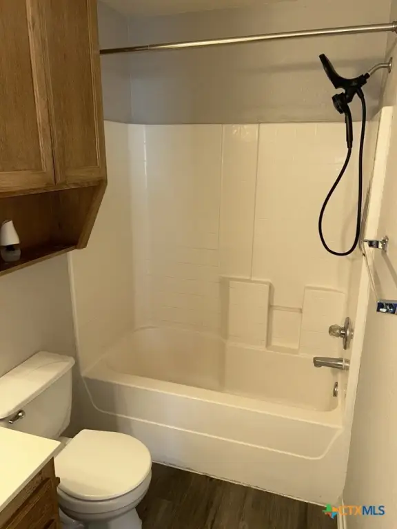 Picture 12
