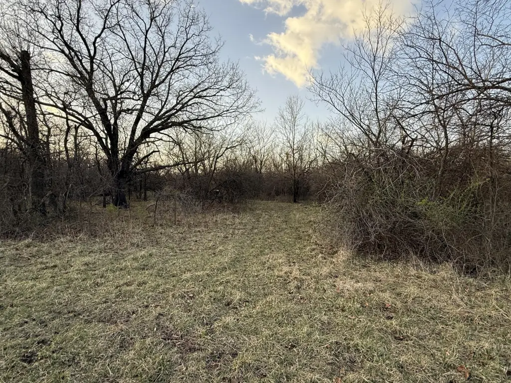 Picture 6