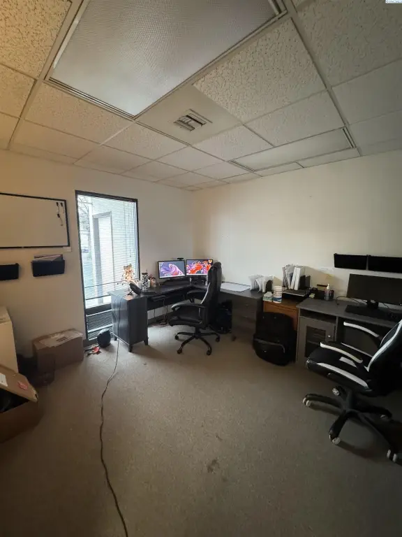 Picture 9