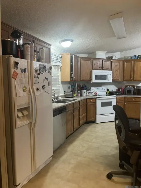 Picture 2