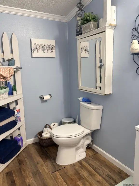 Picture 16