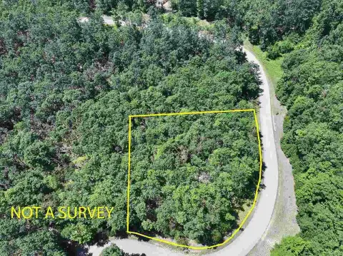 Wooded Lot in Harbor Springs