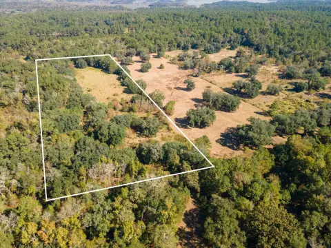 Tallahassee Land Near Meridian Road