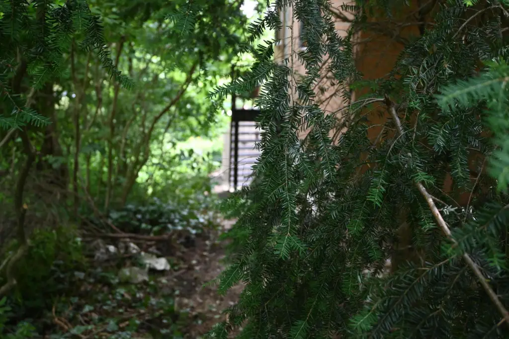 Picture 12
