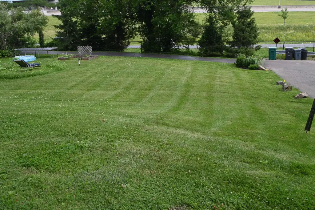 Picture 4