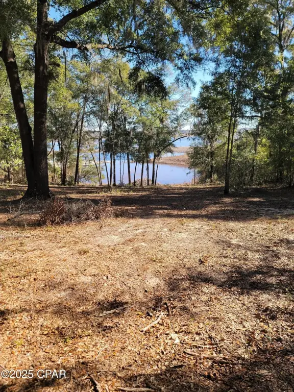 Picture 3