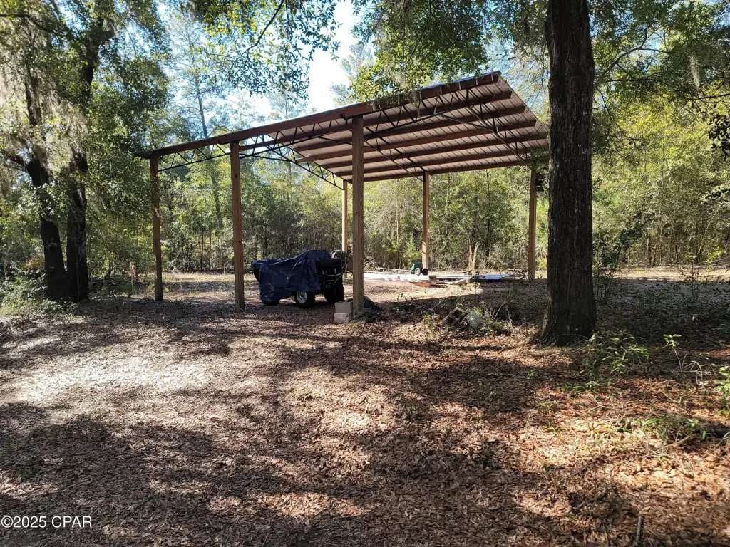 Picture 5