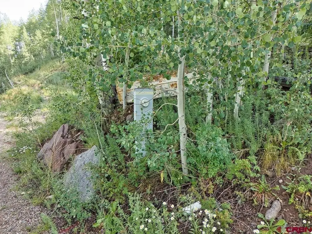Picture 20