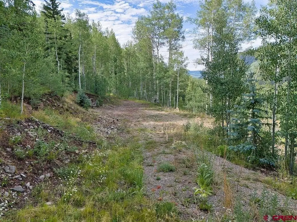 Picture 19