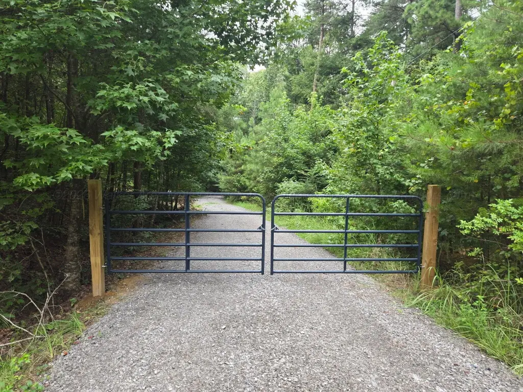 Picture 5