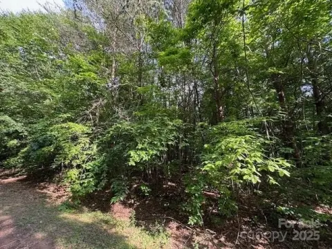 Residential Land in Statesville, NC