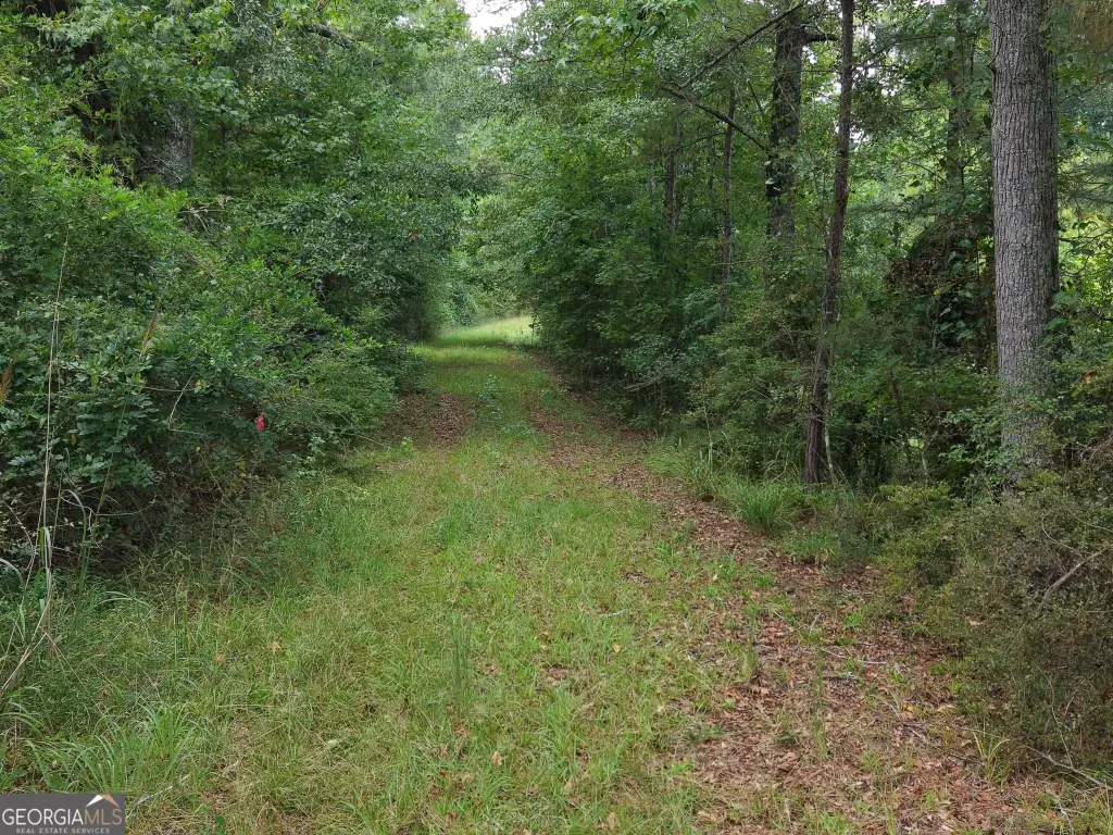 Picture 19
