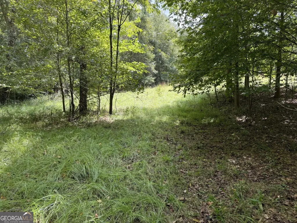 Picture 26