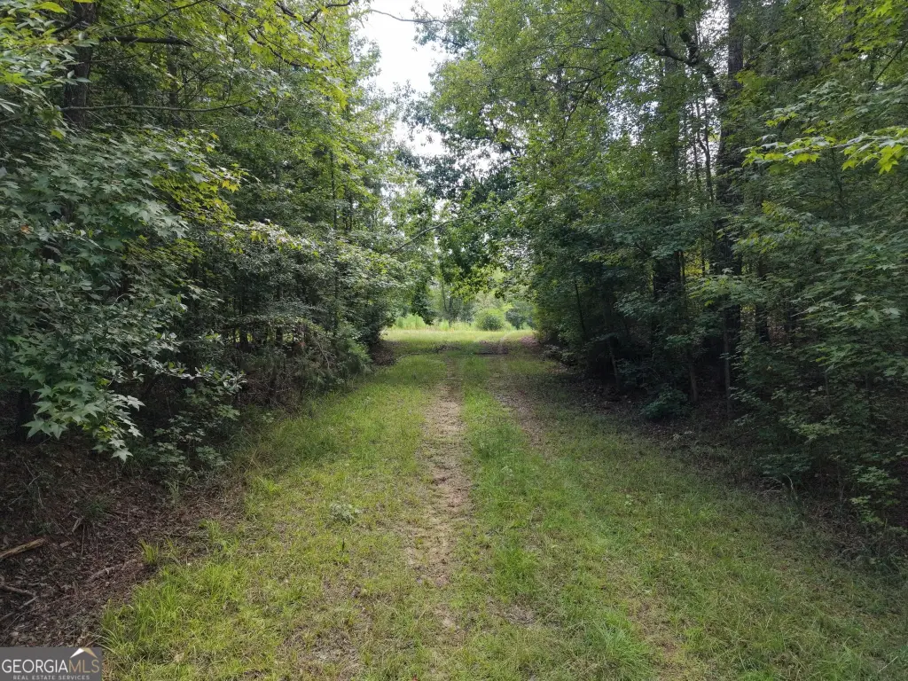 Picture 14