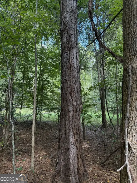 Picture 28