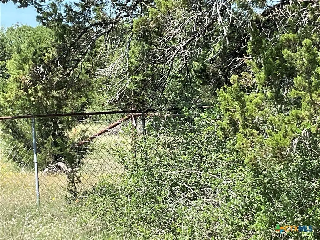 Picture 36