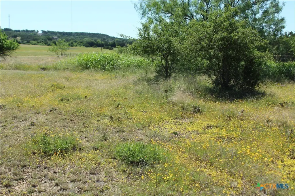 Picture 16
