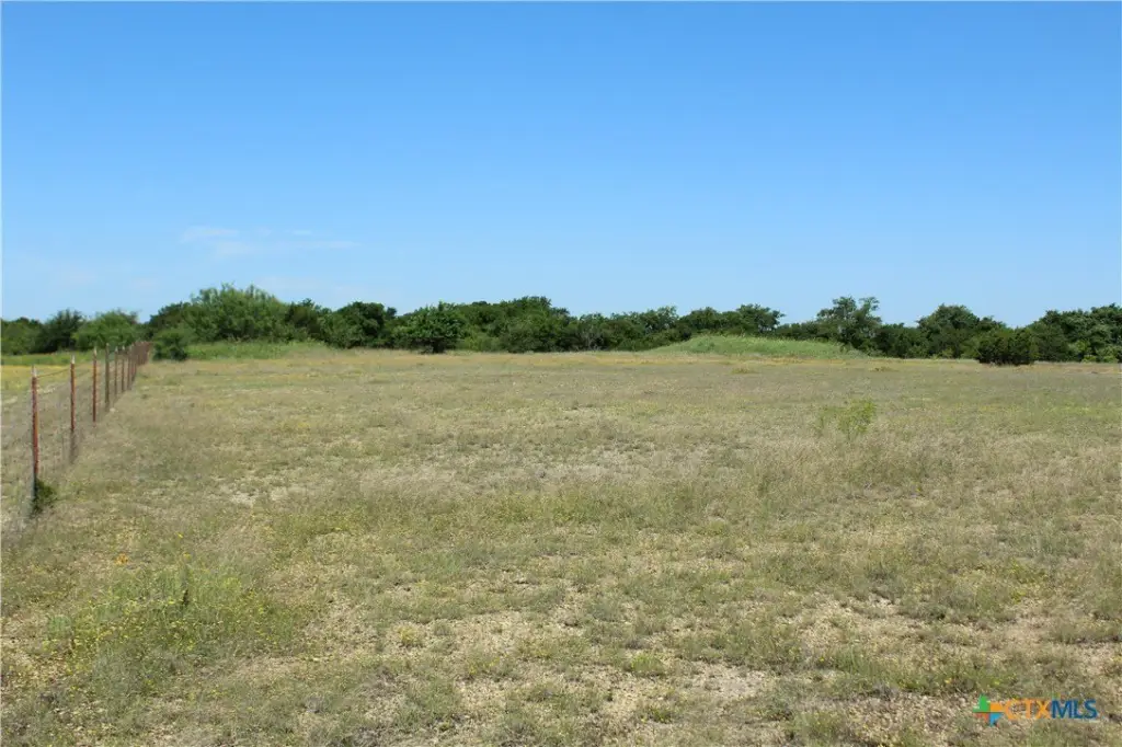 Picture 21