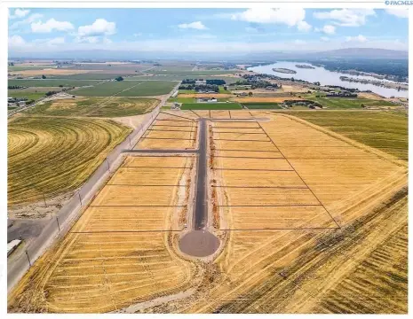 Pasco Residential Land Opportunity