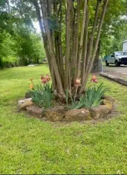 Residential Land in Quiet Neighborhood