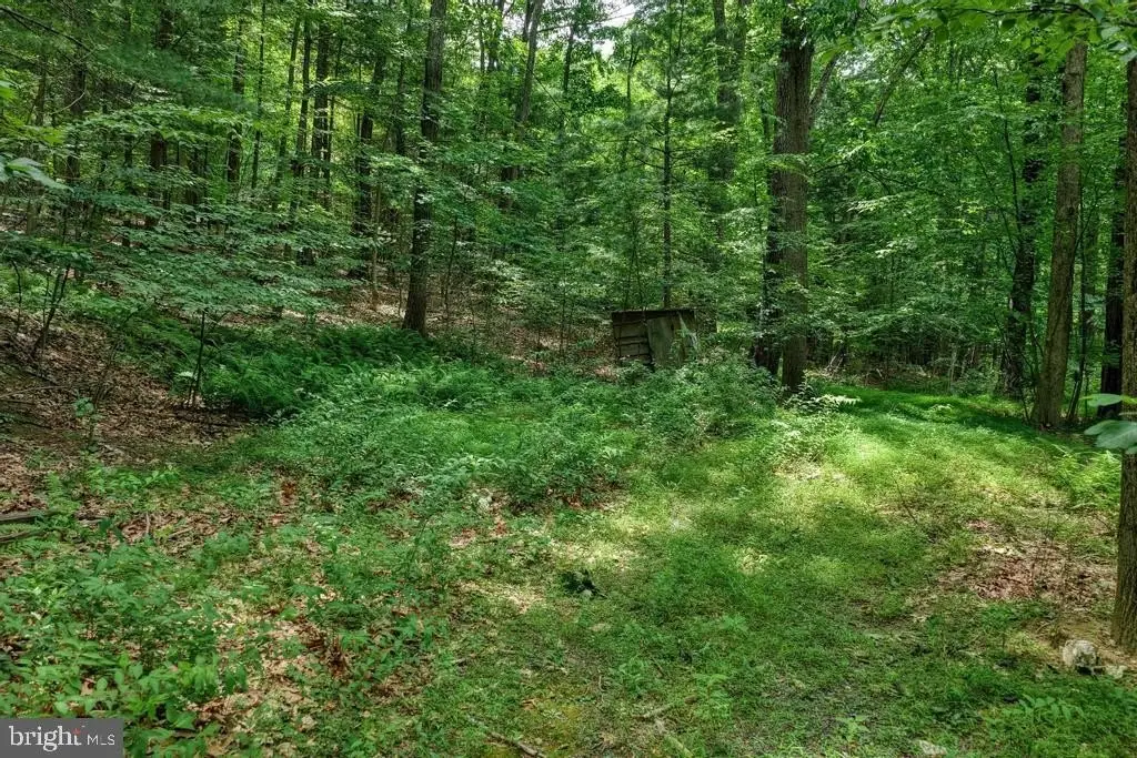 Picture 28