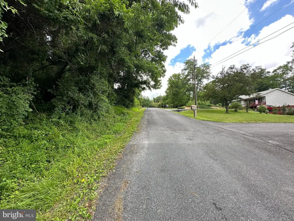 Picture 15