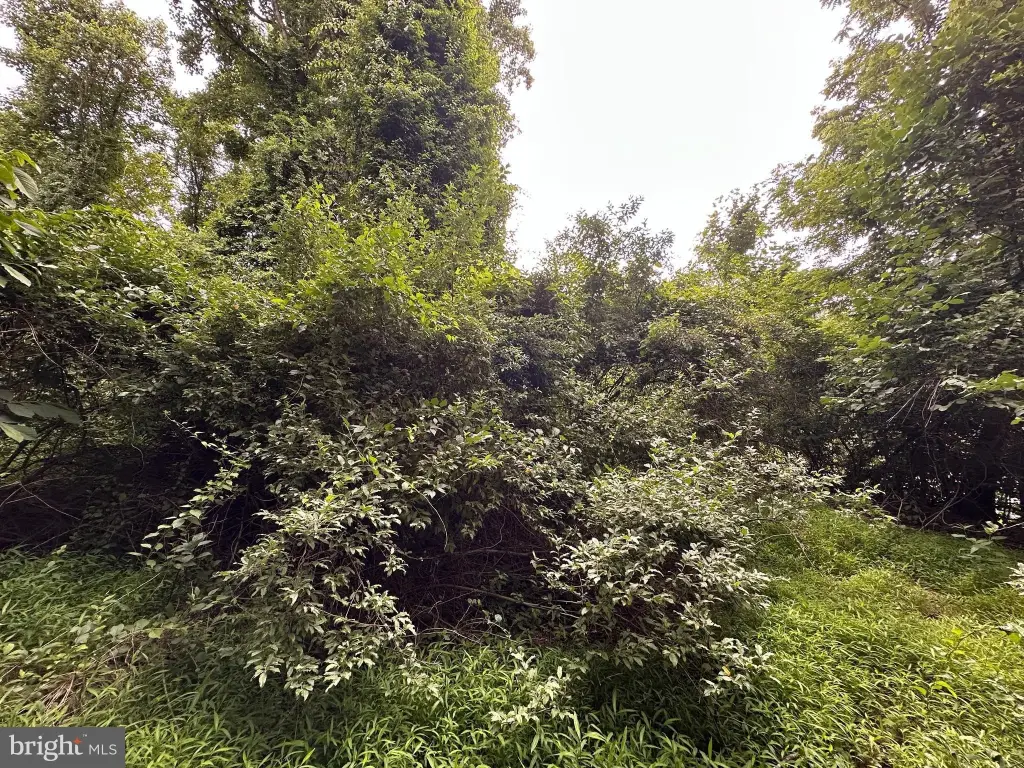 Picture 20