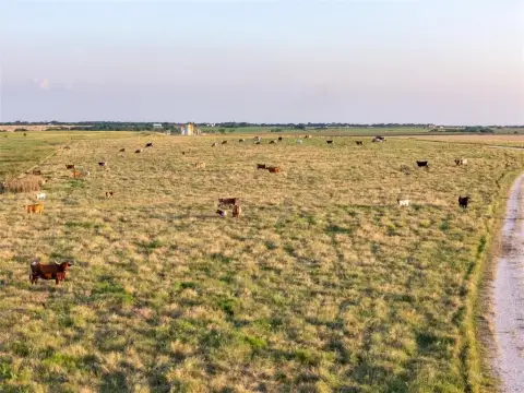 250 Acre Ranch Near DFW