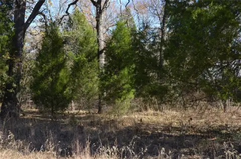 Wooded Lot in Waterfront Subdivision