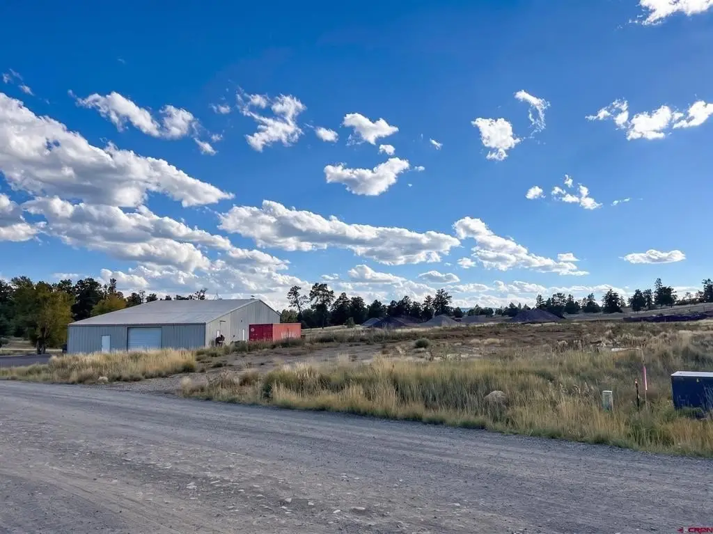 Picture 5