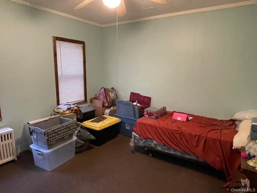 Picture 17