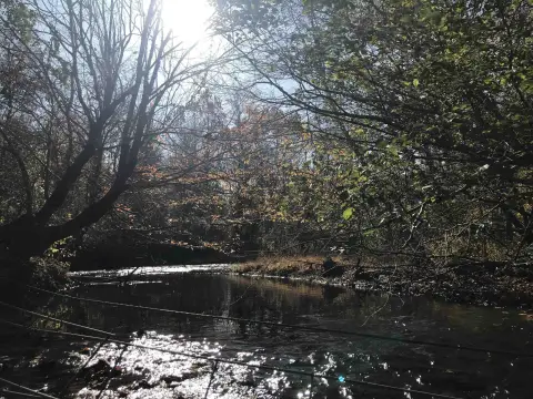 Lutts, TN Vacant Land