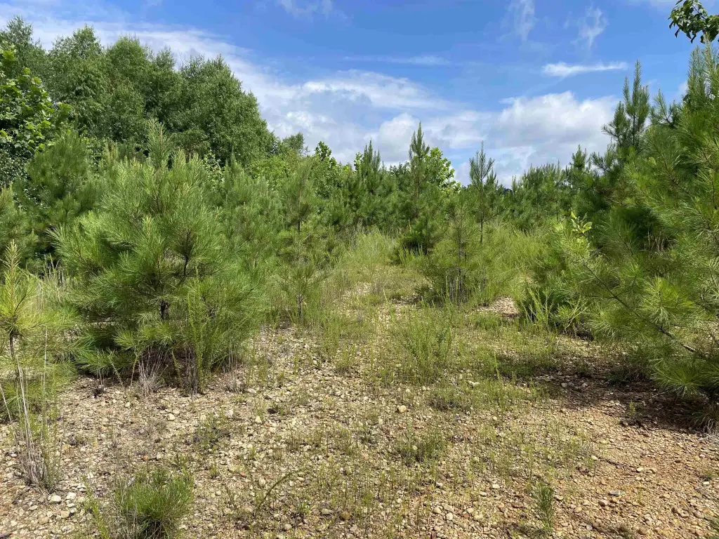 Picture 11
