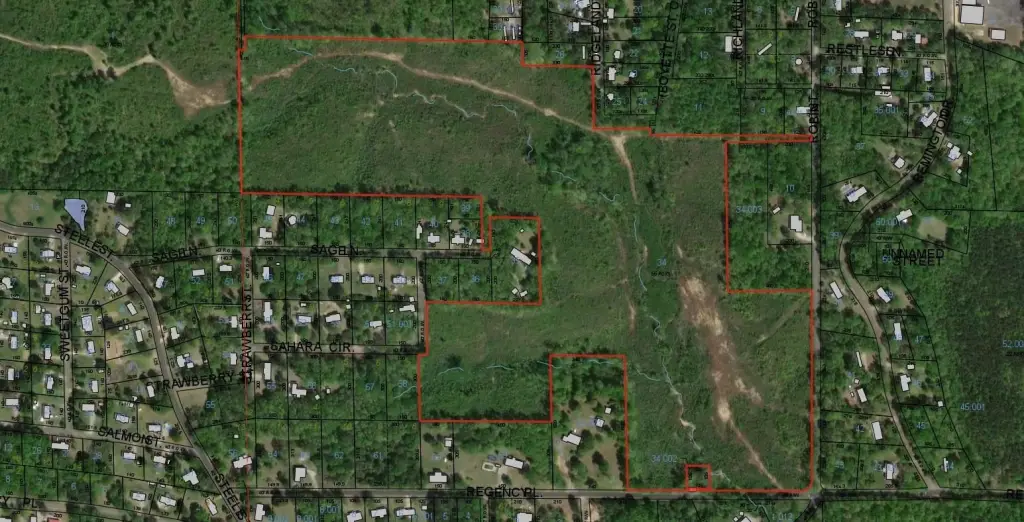 Picture 14