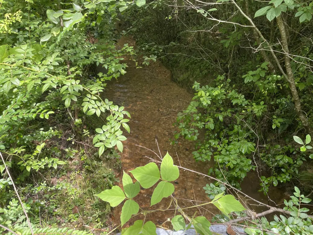 Picture 6