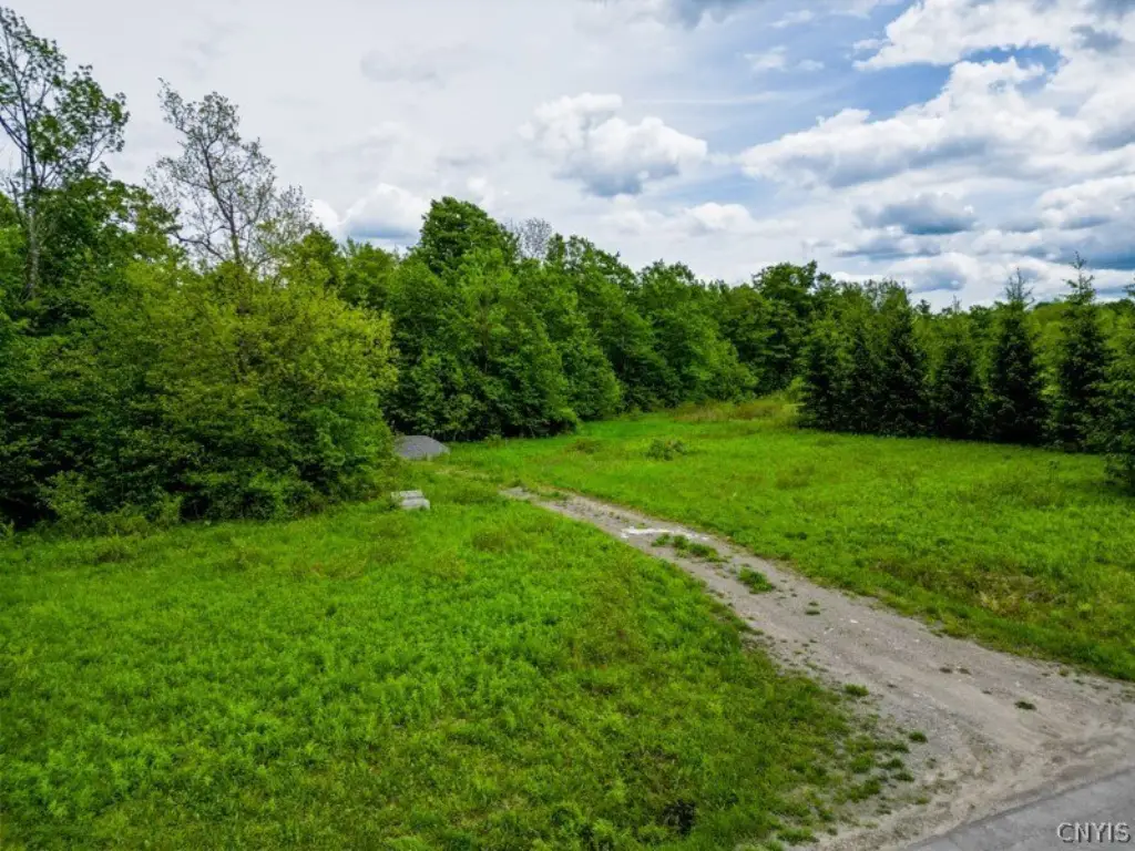 Picture 5
