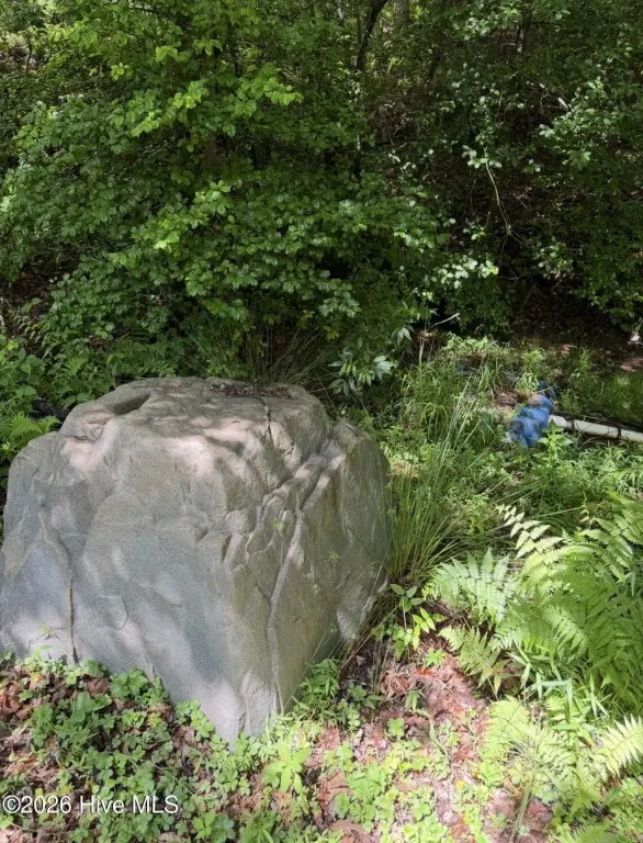 Picture 23