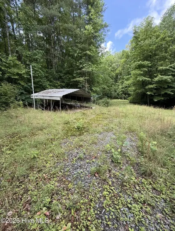 Picture 29