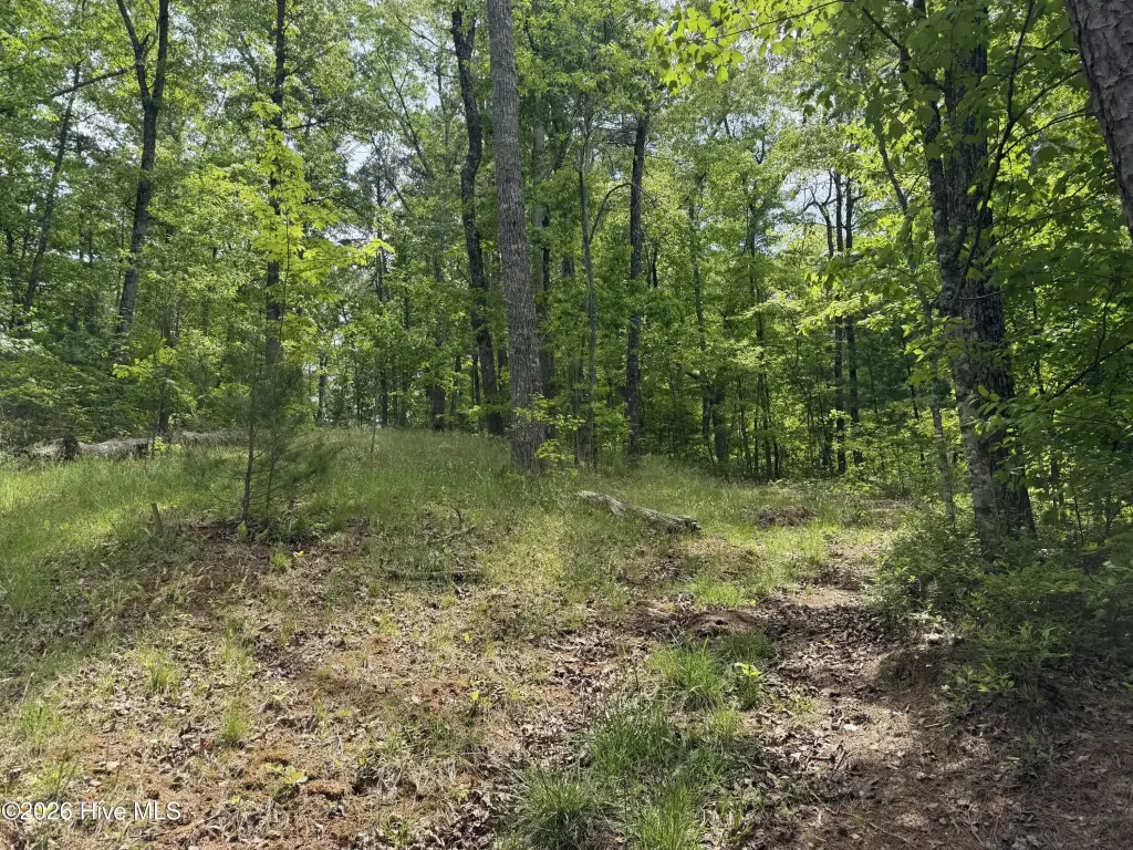 Picture 15