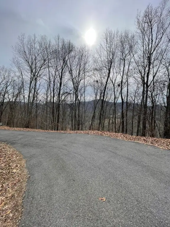 Picture 14